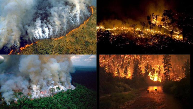 Imagen de Apocalíptico: Incendios en el amazonas ¿Será el fin del mundo?