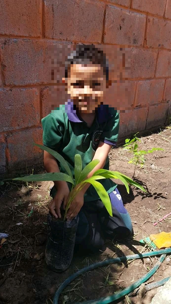 Niño de cinco años fallece a consecuencia de dengue