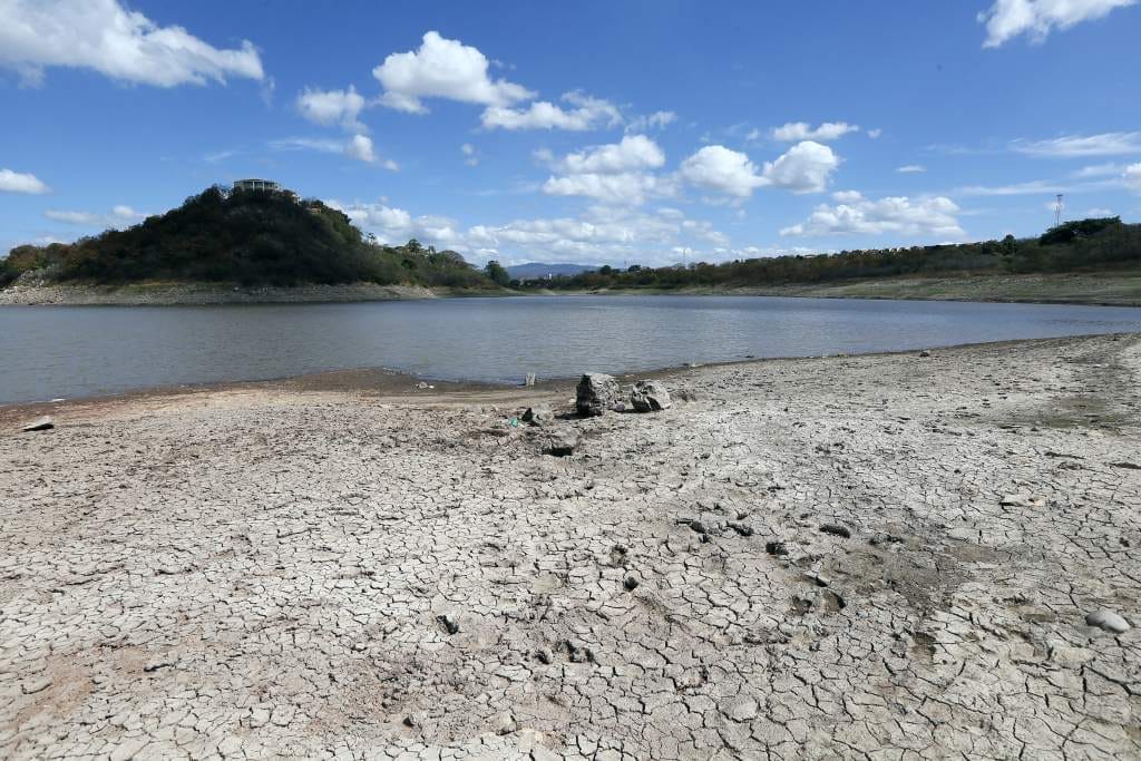 Alarmante la situación: Así lucen las milpas de maíz a nivel nacional
