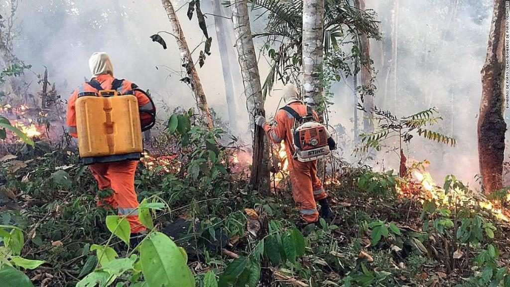 Papa: Incendios en Amazonas puedan ser domados con compromiso de todos