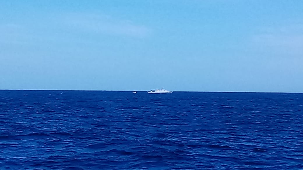 Imagen de Rescatan a una ballena en la zona Sur de Honduras