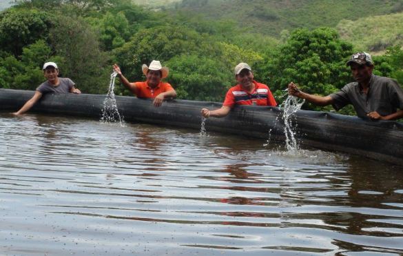 Imagen de cuerpo de nota