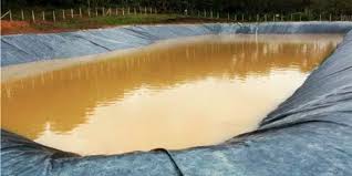 Imagen de cuerpo de nota