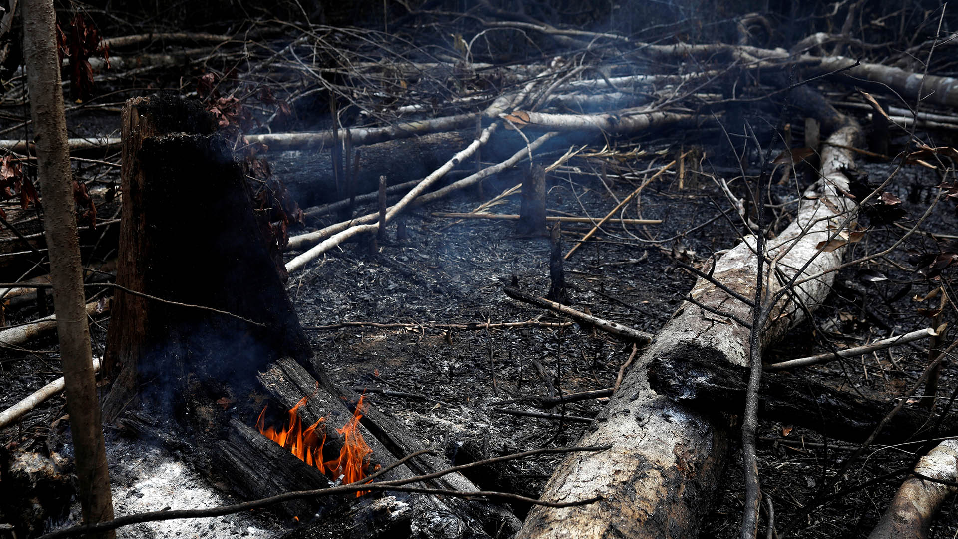 Imagen de cuerpo de nota