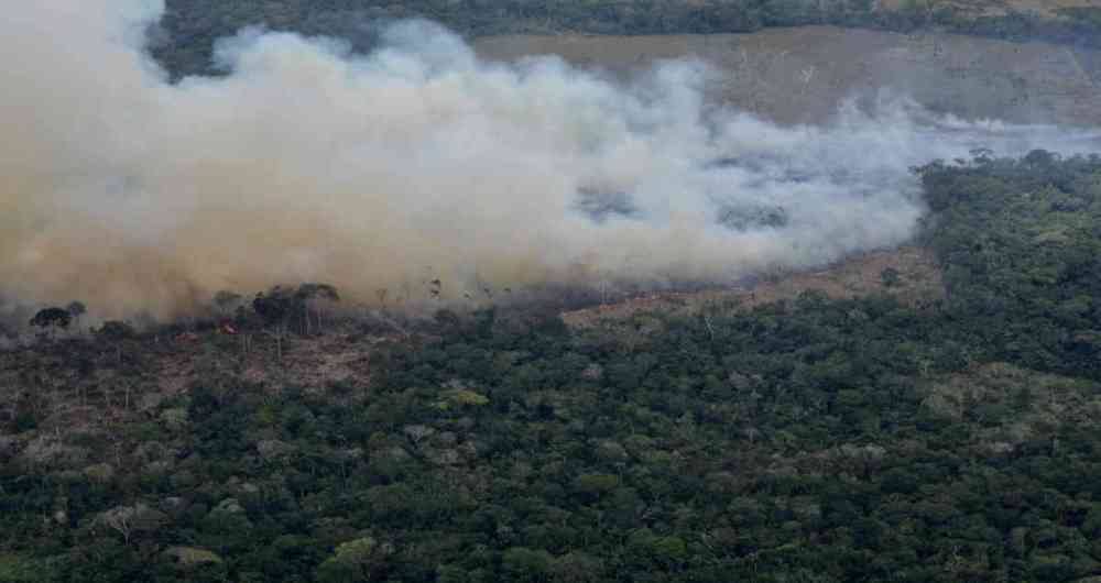 Papa: Incendios en Amazonas puedan ser domados con compromiso de todos (FOTOS)