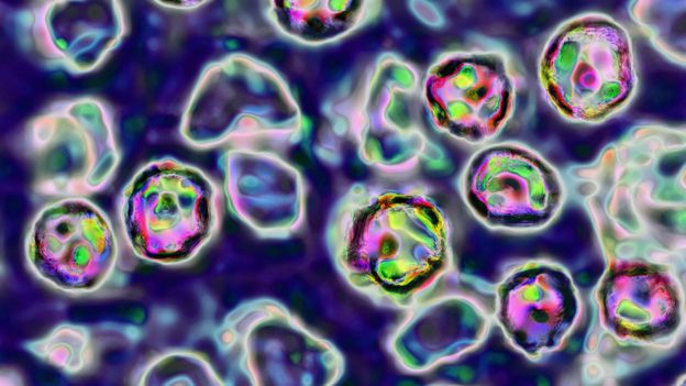 Reino Unido ya no está "libre de sarampión", según la OMS