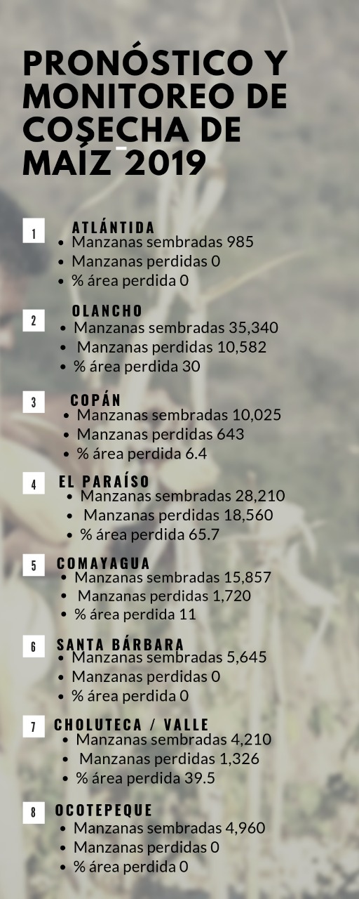 Imagen de cuerpo de nota