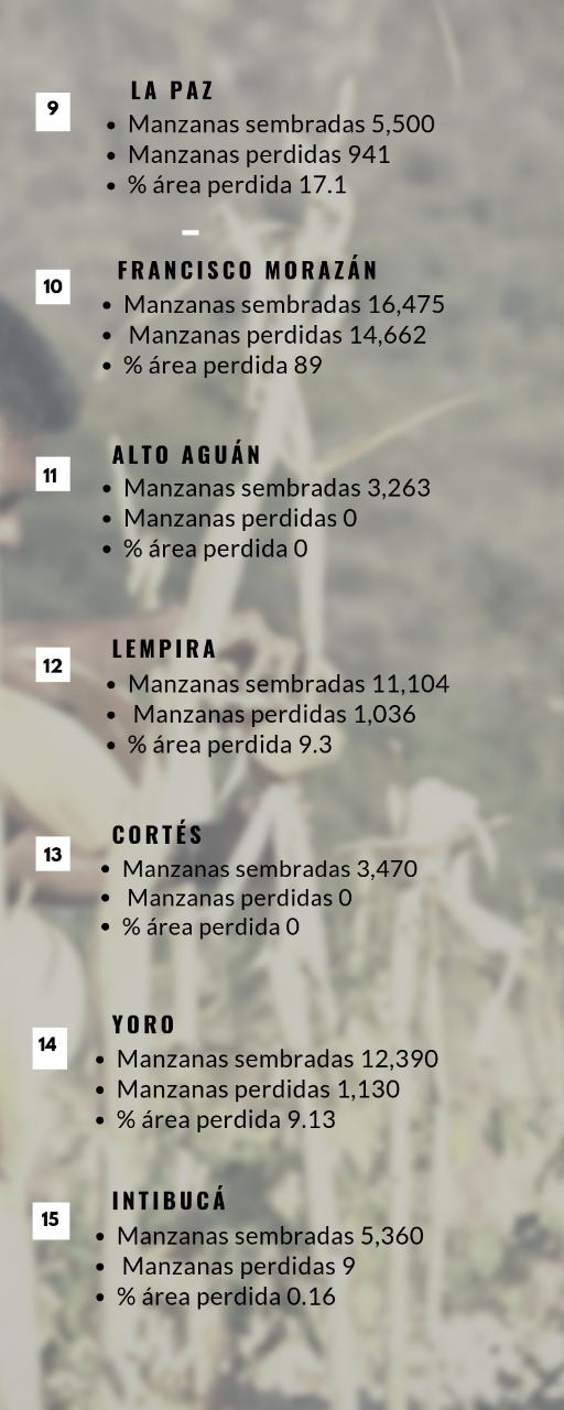 Aquí las peticiones de los sectores agricultor y ganadero, frente a calamidad por sequía