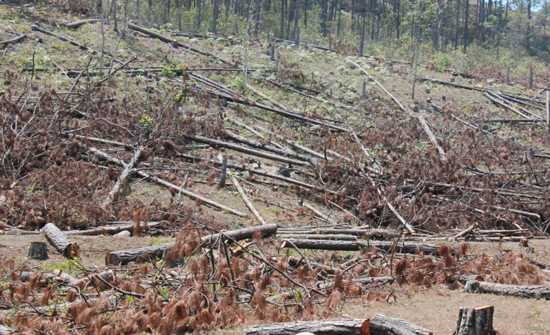 Protestarán en Tela en defensa de los recursos naturales