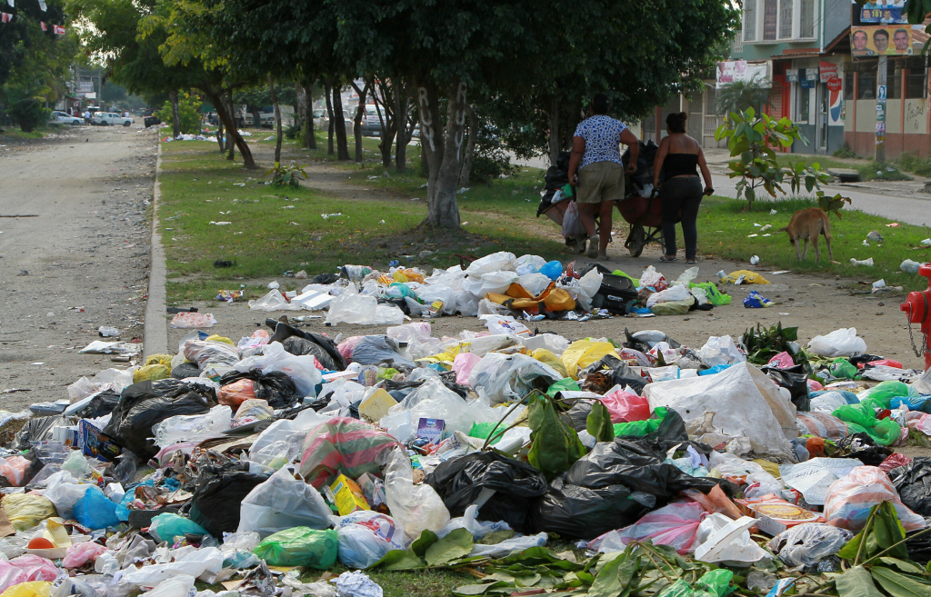 Proponen la creación de la bolsa para la recolección de basura ¿En qué consiste?