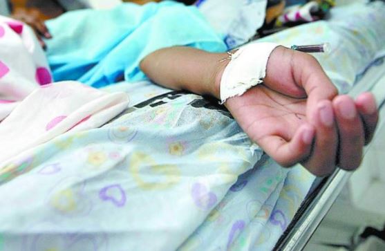 En un 10 por ciento disminuyen los casos de dengue en San Pedro Sula