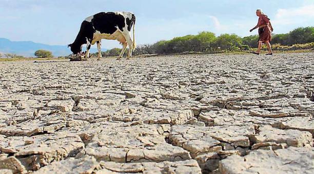 Gobierno se encamina a declarar emergencia en el sector productor del país