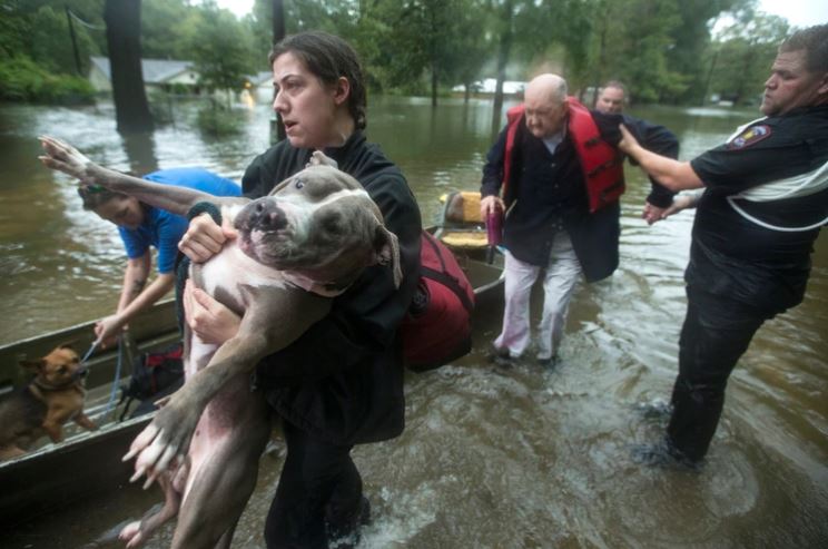 Más de mil rescates y desalojos en Texas por la tormenta Imelda