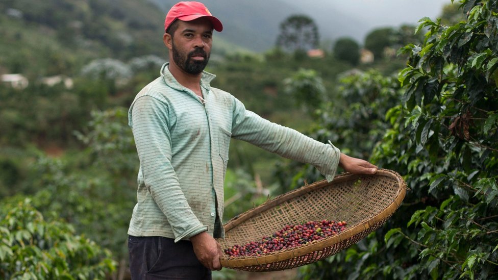 Cambio climático: la razón por la que se prevé migrarán millones de Centroamérica y México