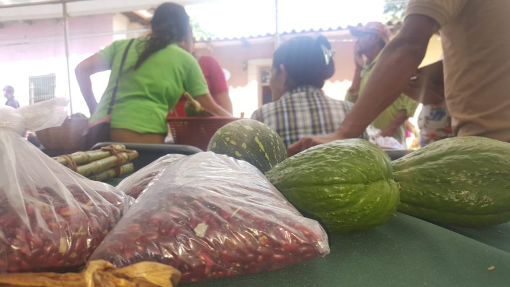 Tradiciones de Gracias 