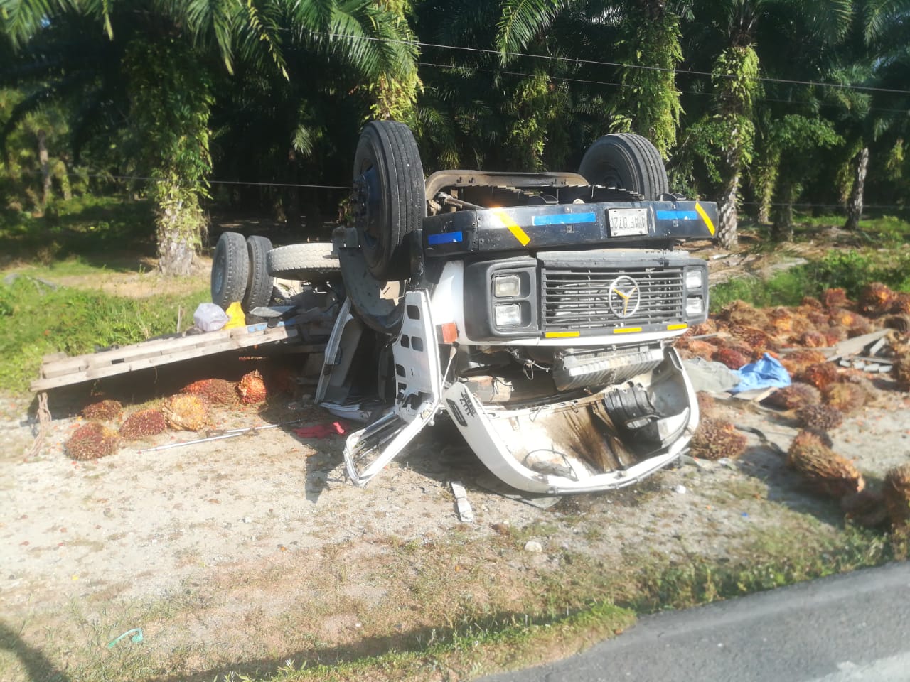 Imagen de cuerpo de nota