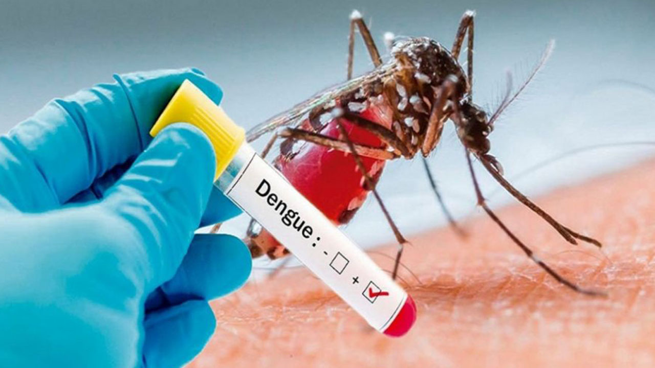 Más de 2 mil casos de dengue reporta La Paz en lo que va del año