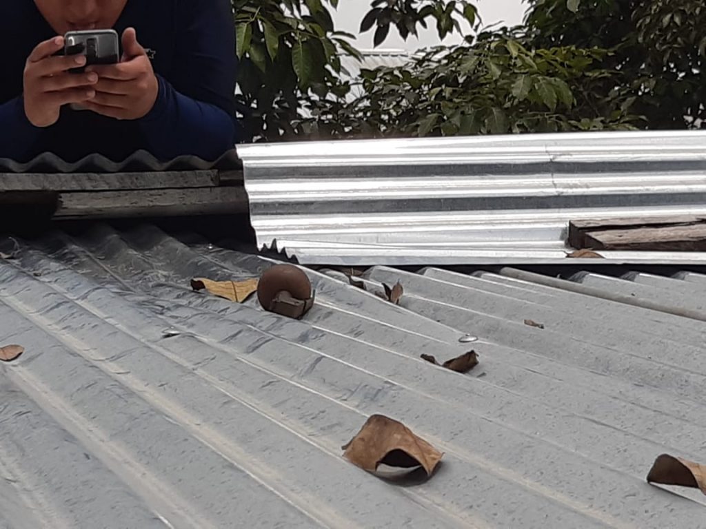 Imagen de cuerpo de nota