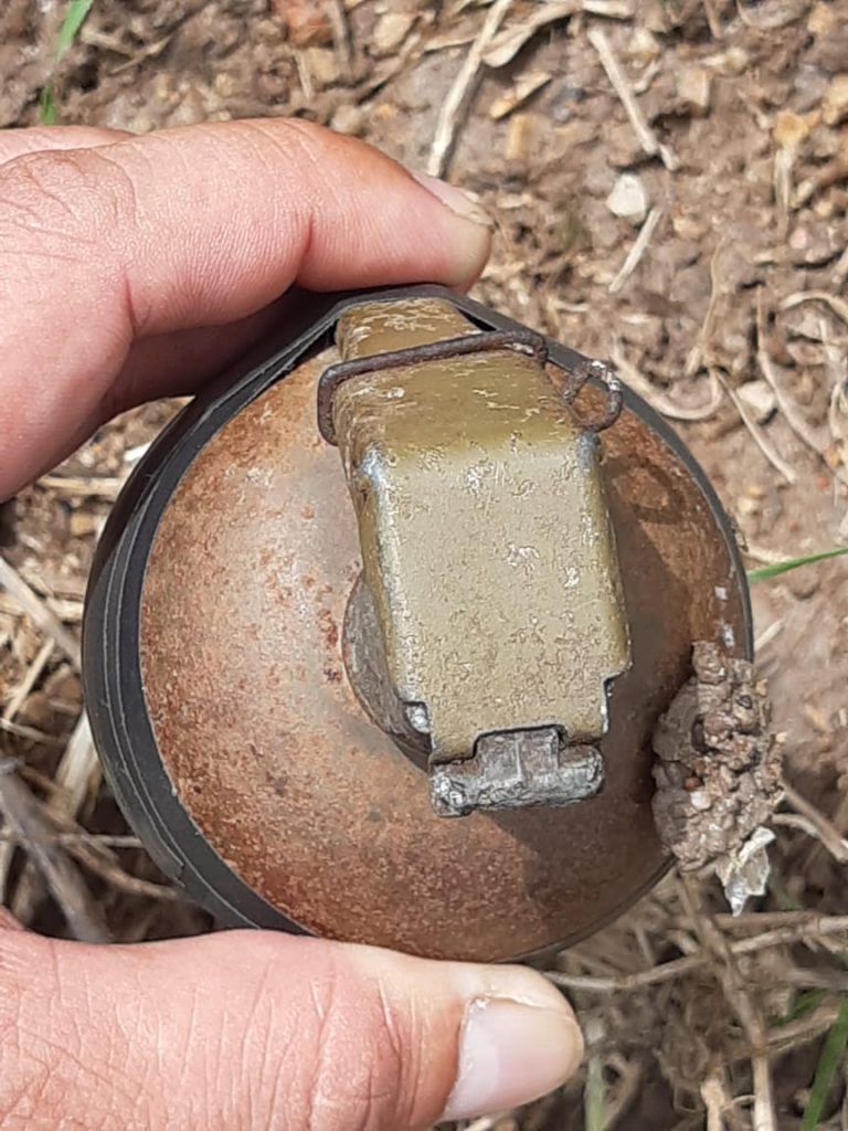 Imagen de cuerpo de nota