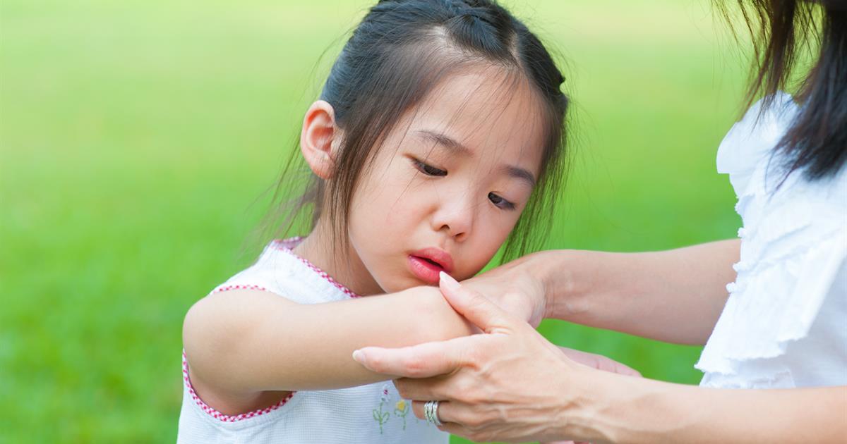 Imagen de cuerpo de nota