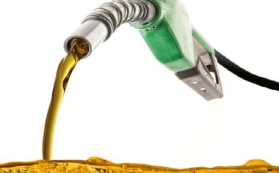 Imagen de cuerpo de nota