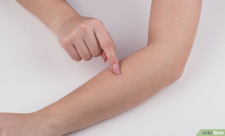 Imagen de cuerpo de nota