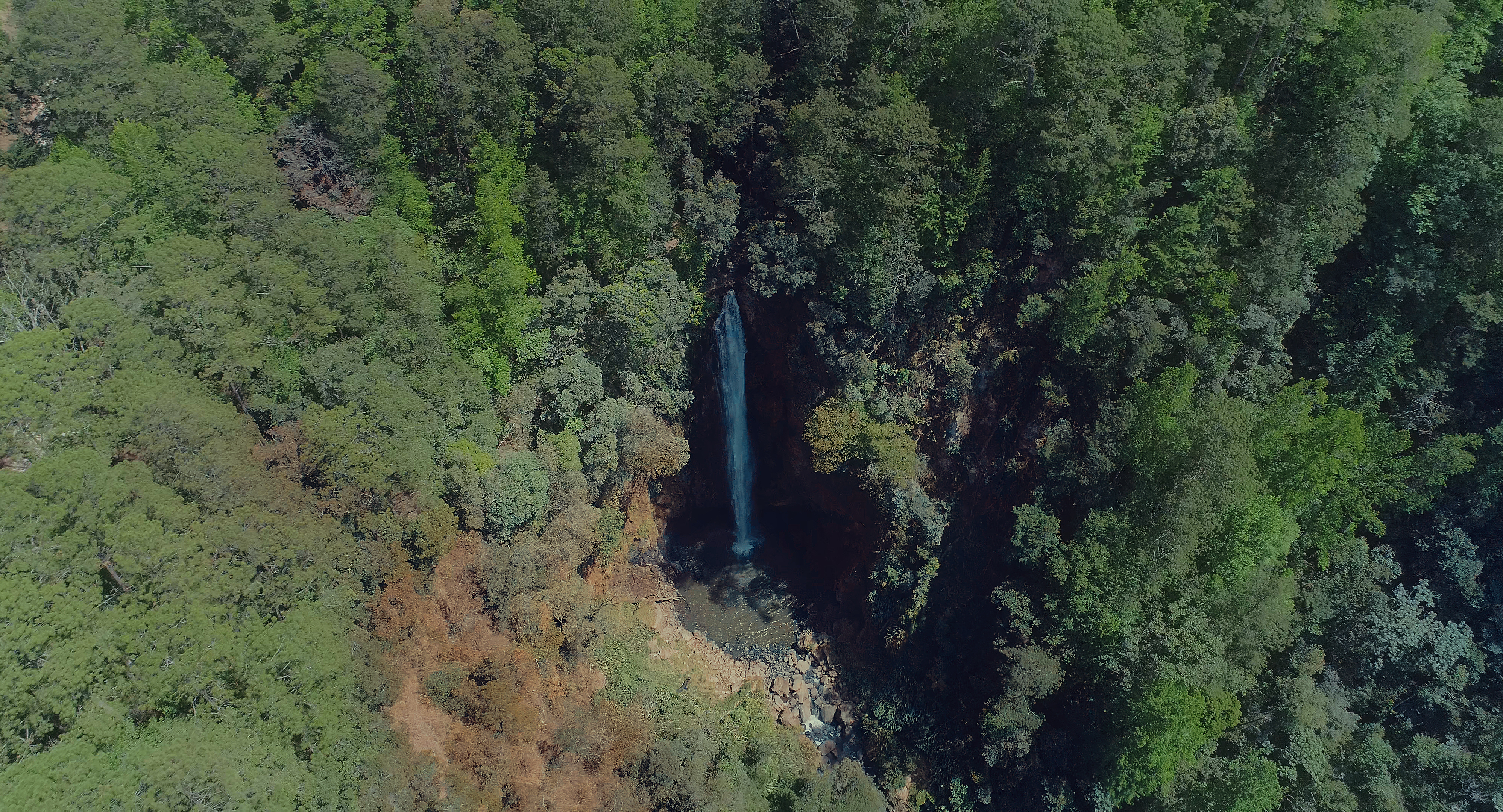 Imagen de cuerpo de nota