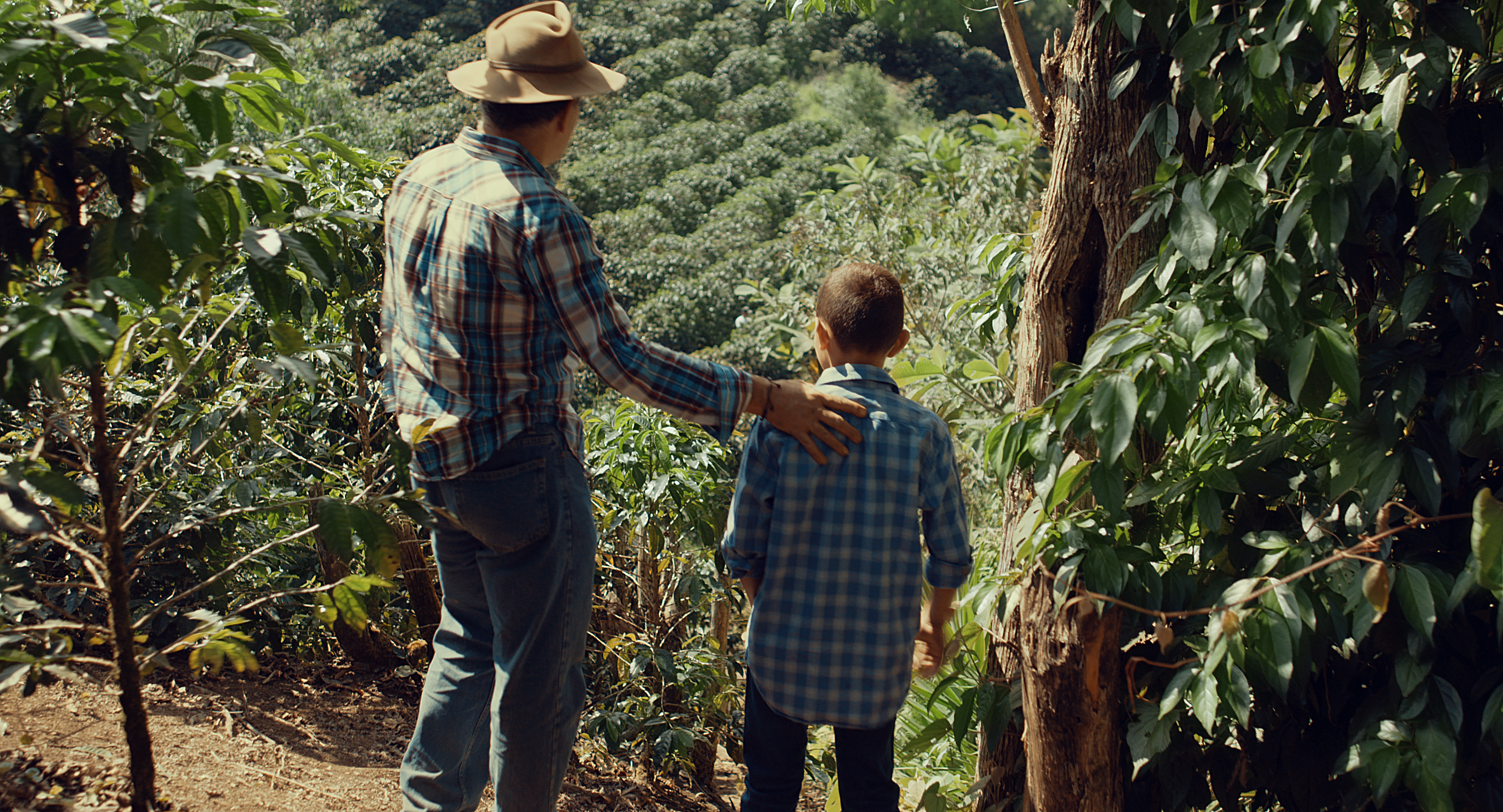 Imagen de cuerpo de nota