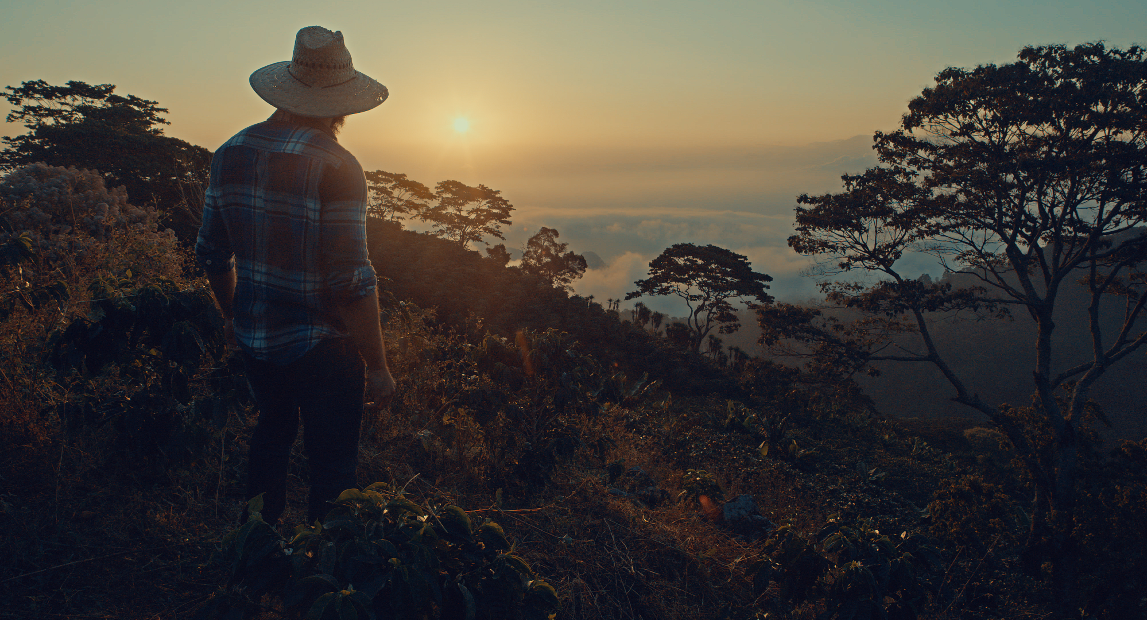 Prenominan al Oscar película hondureña Café con Sabor a Mi Tierra