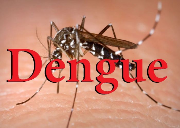 Imagen de A 245 asciende número de muertes sospechosas por dengue; 151 decesos están confirmados