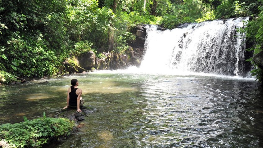 Científicos descubren un nuevo antibiótico en bacteria de una selva mexicana