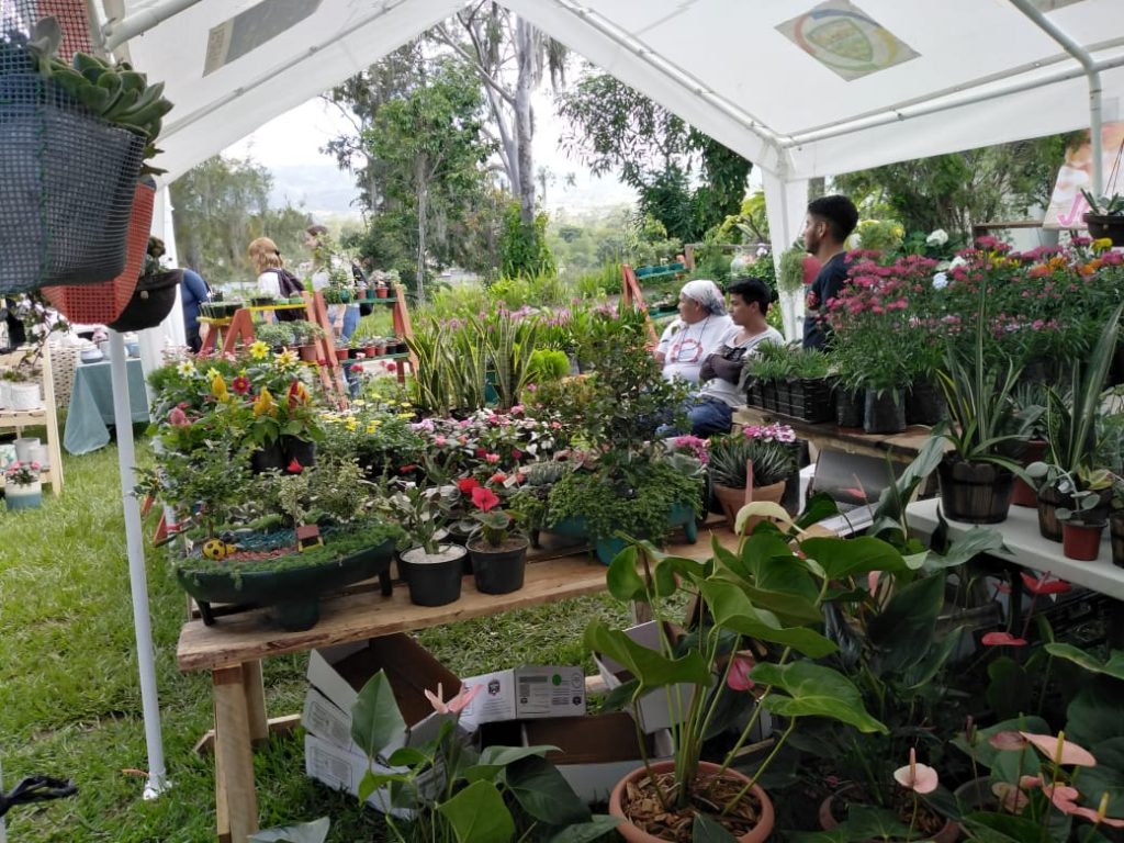 Festival de las Flores 