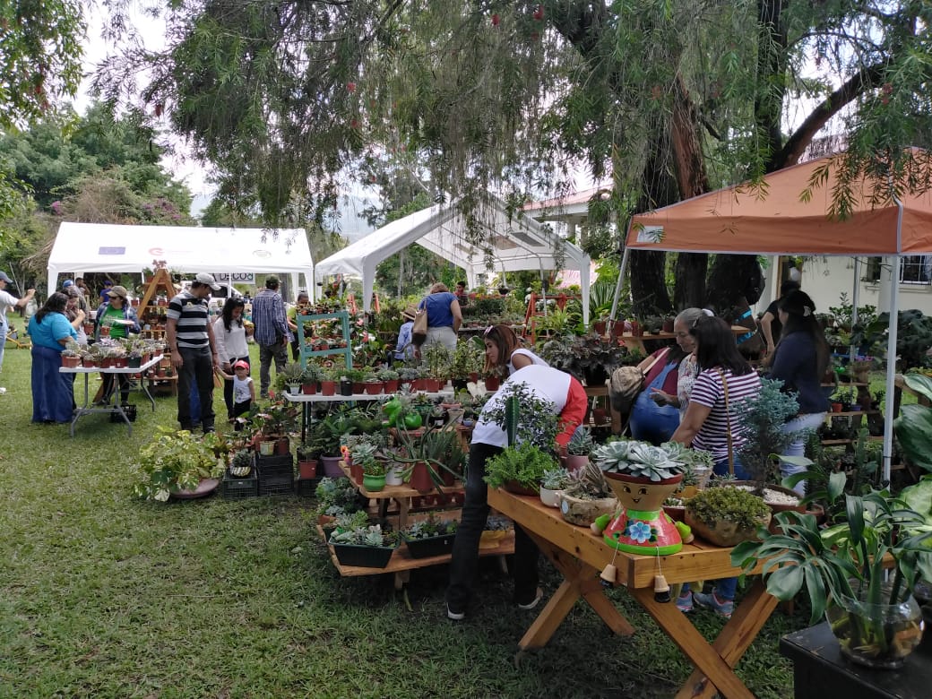 Comienza el Festival de las Flores en Siguatepeque