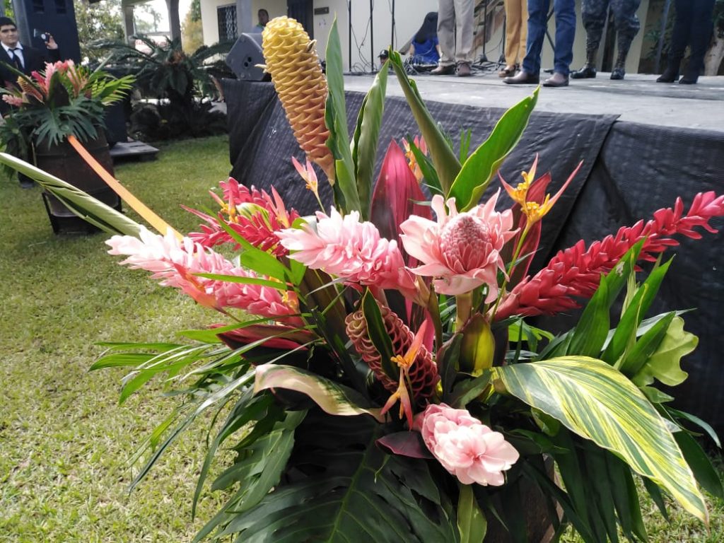 Festival de las Flores 