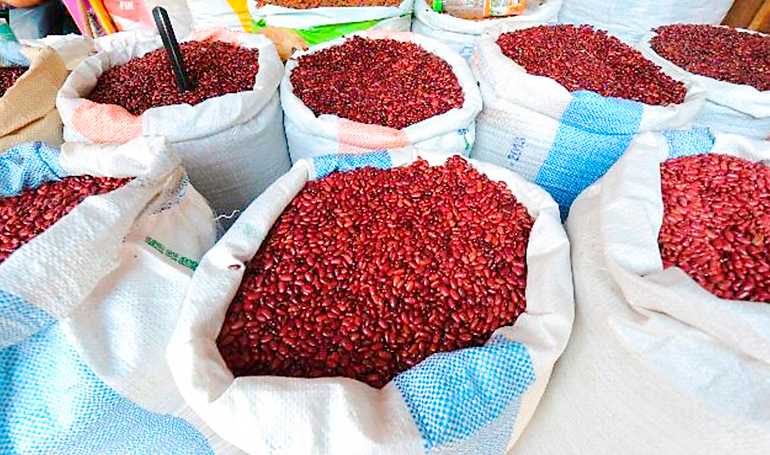 El Gobierno de Honduras autoriza la compra de 45 mil quintales de frijol