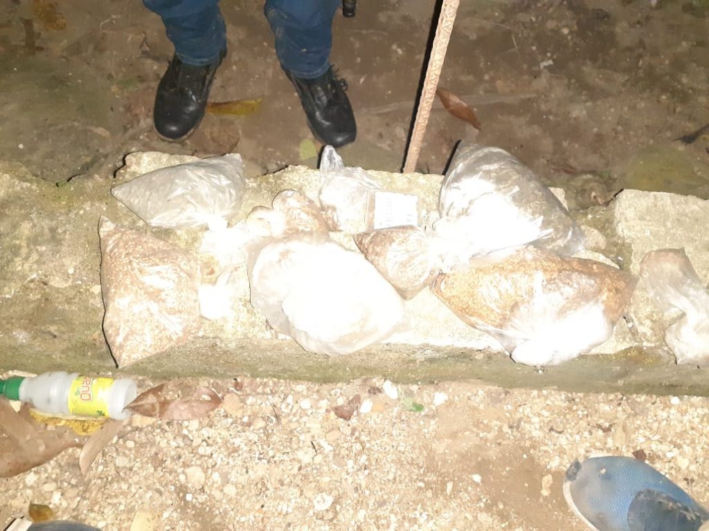 Droga decomisada en Puerto Cortés 