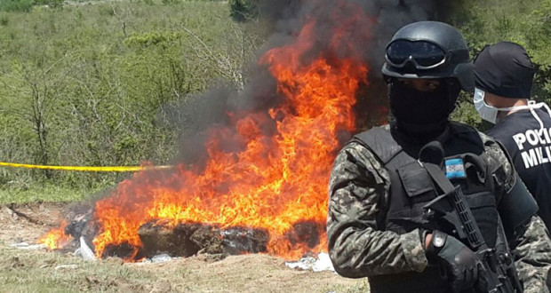 La quema de 15 mil plantas de marihuana, se destaca en informe de Fusina