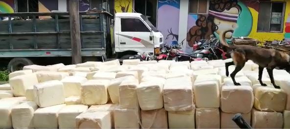 Decomisan 25 mil libras de queso en el sector fronterizo de la República de El Salvador