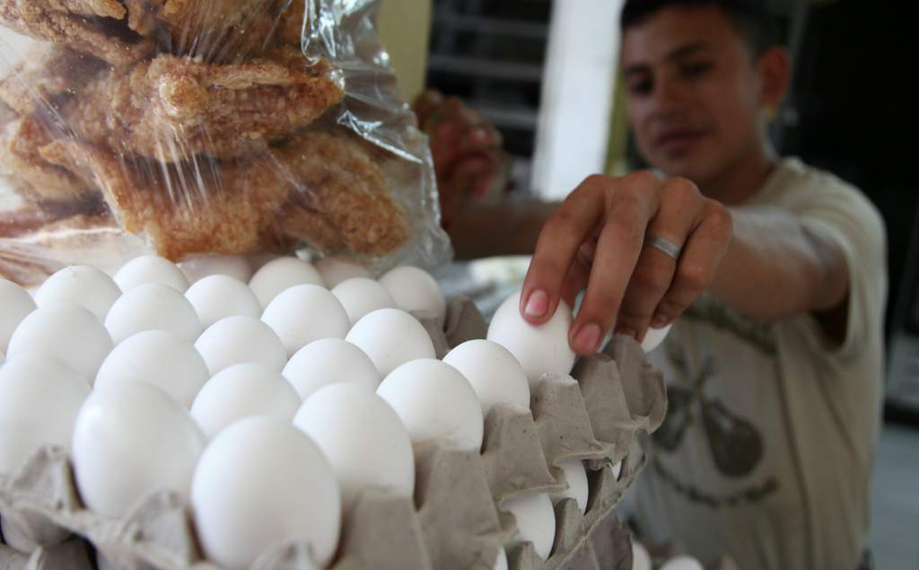 Gobierno venderá en puntos de venta, huevos a L64.00 cartón de treinta unidades