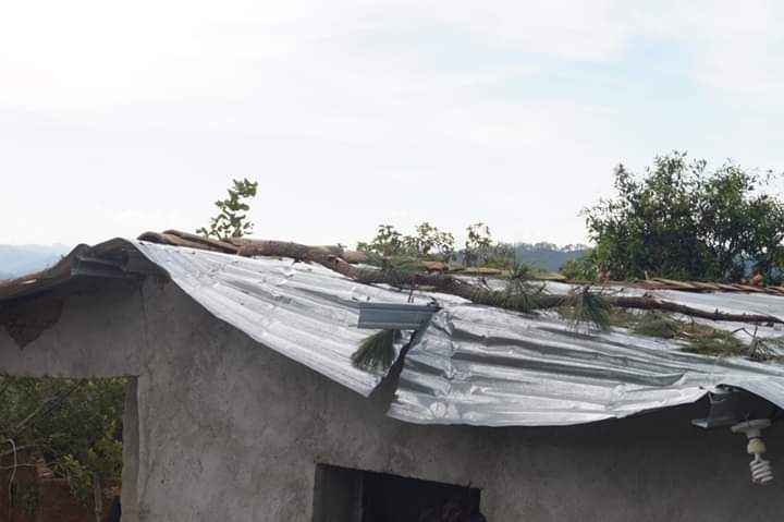 Imagen de cuerpo de nota