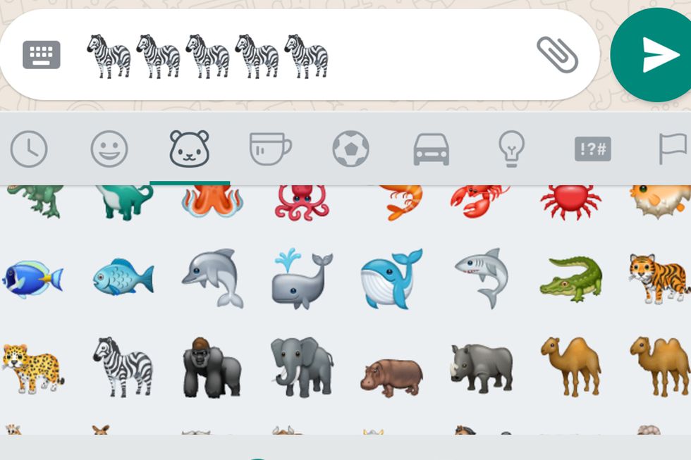 WhatsApp: ¿Por qué es tan popular compartir el Emoji de la cebra en los estados?