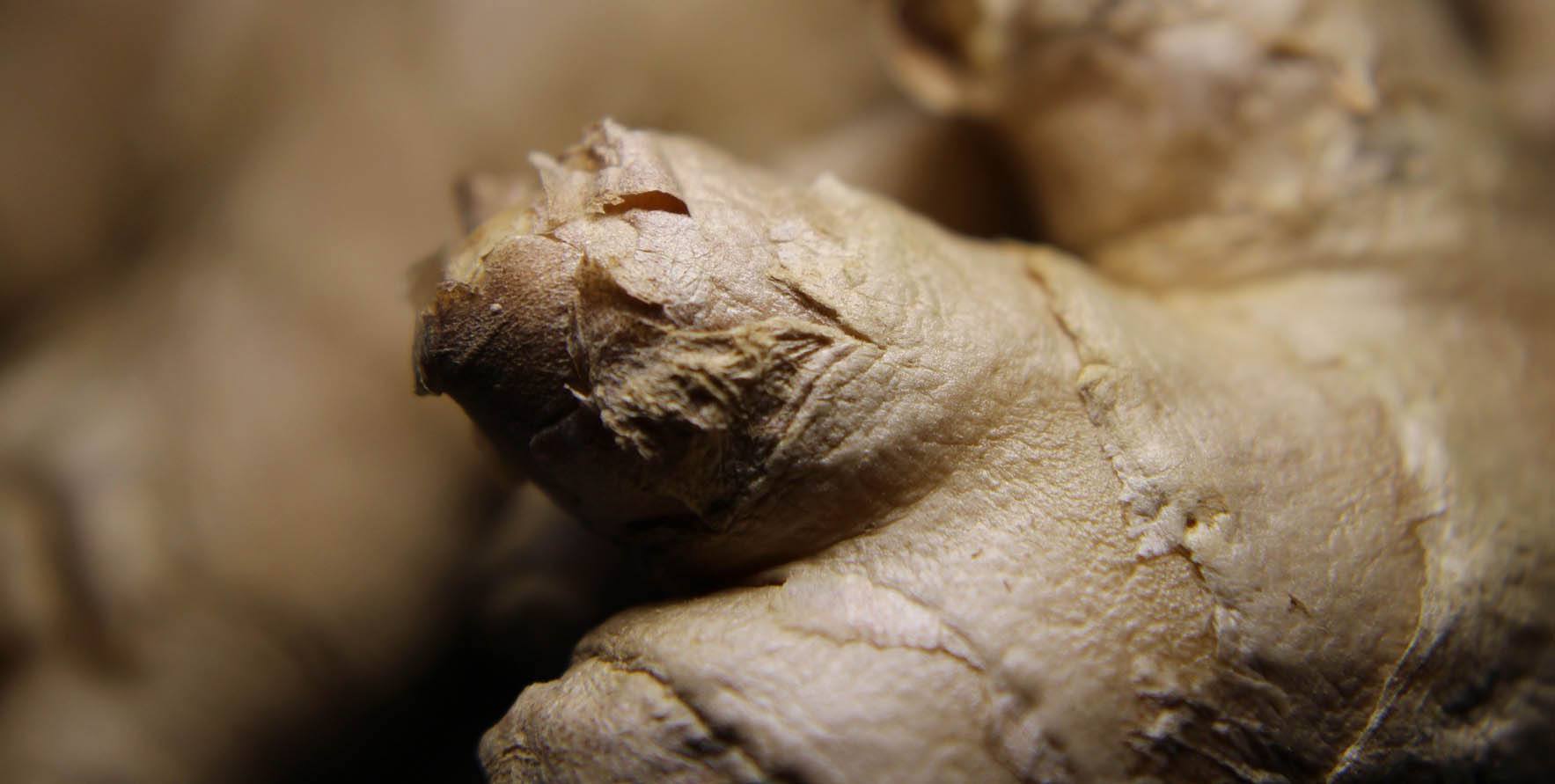 Imagen de cuerpo de nota