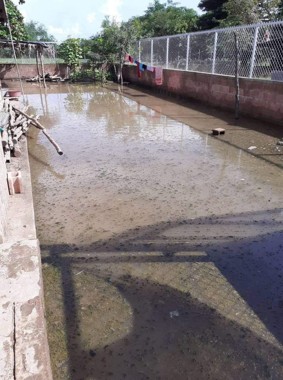 Imagen de cuerpo de nota