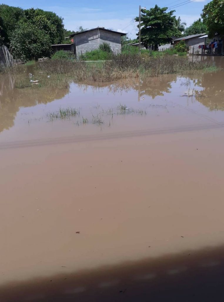 Imagen de cuerpo de nota