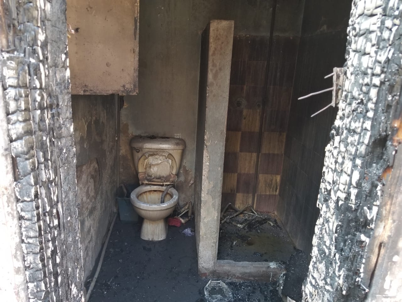 Imagen de cuerpo de nota