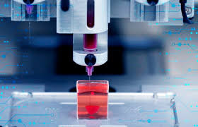 Imagen de cuerpo de nota