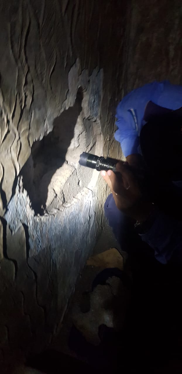 Imagen de cuerpo de nota