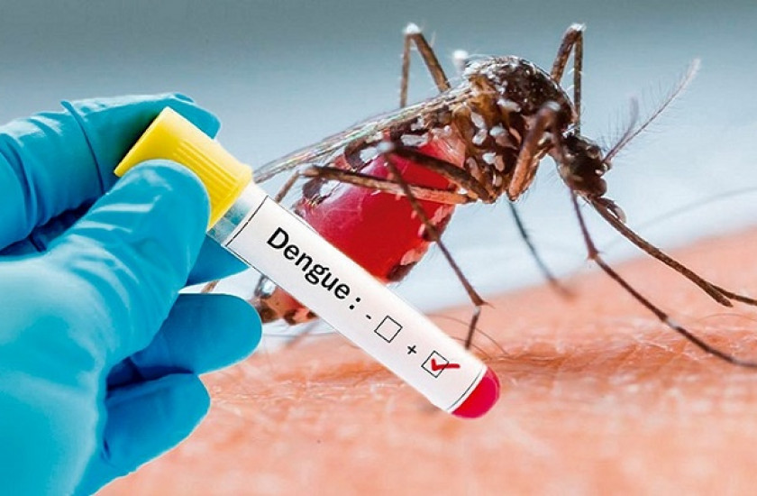 En las últimas seis epidemias de dengue 303 hondureños han perdido la vida