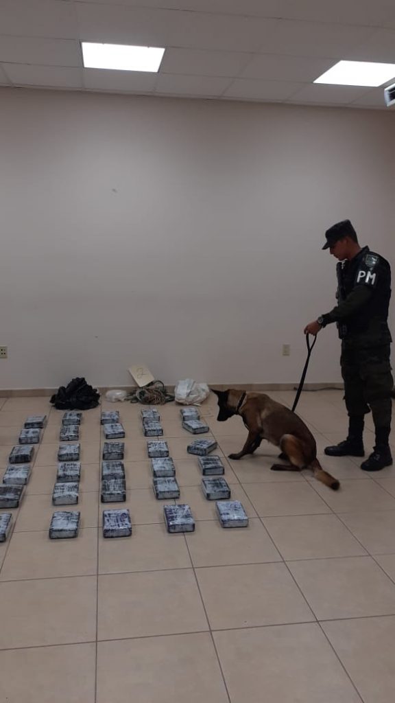 Incautan supuesta cocaína.