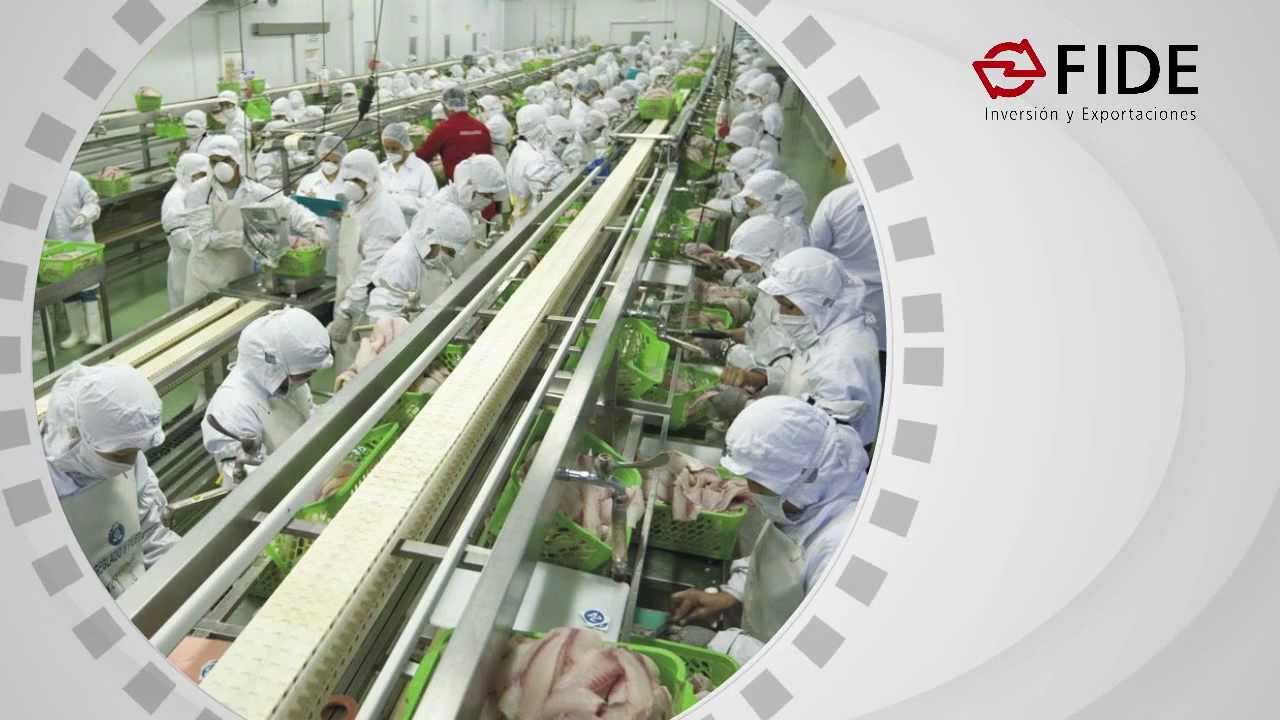 Cierra operaciones FIDE, tras 35 años de contribuir para el desarrollo de Honduras